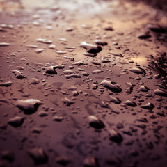 Water drops