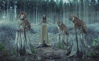 Papier Peint photo Lavable Artist KB Entraîneur féminin attirant avec les tigres