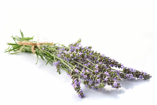 Fototapeta lavanda fresca mazzetto