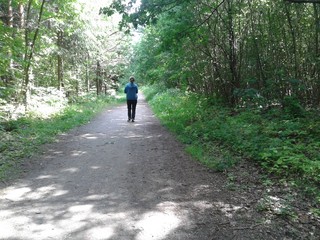 Walking in green forest
