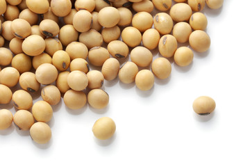 soy beans isolated on white background