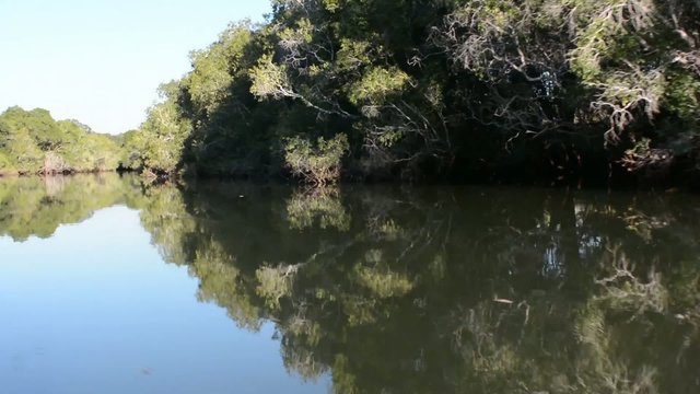 Fiume Zambesi