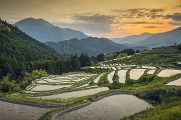  Rijstterrassen in Kumano, Japan © SeanPavonePhoto