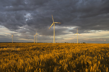 Turbiny wiatrowe,Niemcy © Mike Mareen