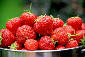 Erdbeeren im Sieb