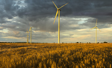 Turbiny wiatrowe na polach zboża,Niemcy