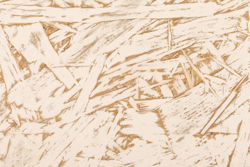 Obraz premium Wood Texture