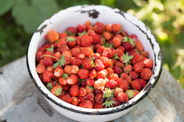 strawberries in a bowl