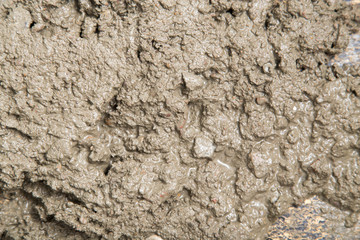 Background of the fresh cement solution