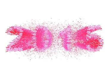 Foto auf Acrylglas Roze explosie - 2015 komt er aan © emieldelange