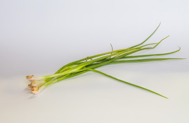 Fototapeta premium Spring onions