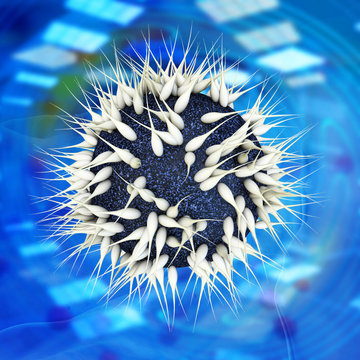 Befruchtung - 3d Render