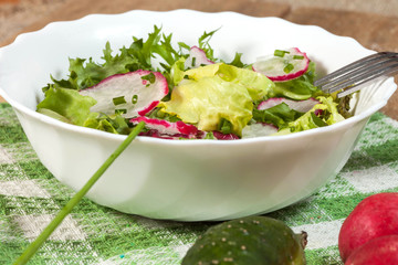 Salad with radish and green cucumber