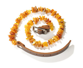 Pet collar from amber top view