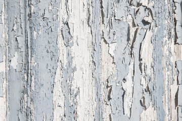 Textur: Holz Hintergrund alt Vintage or Shabby Chic Style
