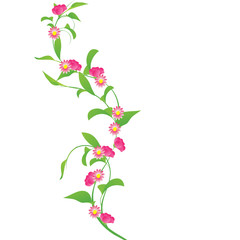 Obraz premium Flores
