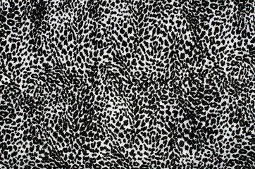 Black and white leopard pattern.Fur animal print as background.