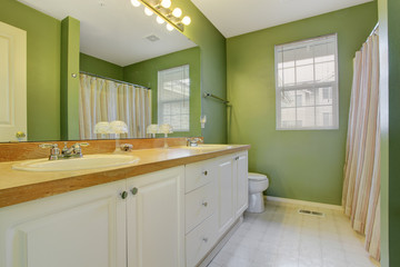 Bright green bathroom interior