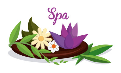 Spa design
