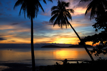 Sunrise with coconut