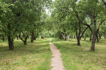 narrow path
