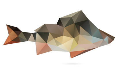 Polygon abstract illustration of the perch