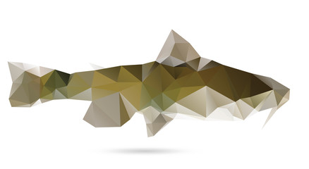 Polygon abstract illustration of American catfish