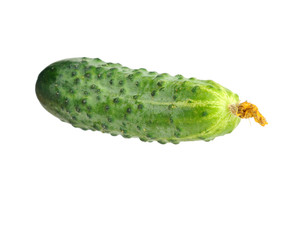 Fresh cucumber islated over white