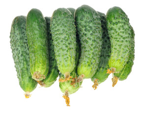 stack of cucumbers with dry flowers isolated over white