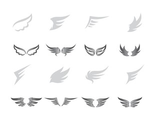 Fototapeta premium wing art