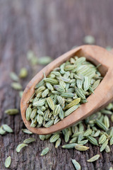 fennel seed in a wooden scoop on table