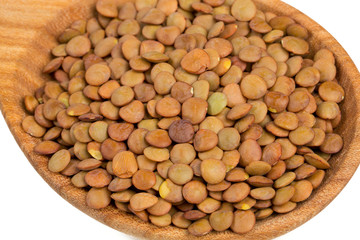 brown lentils in a wooden scoop