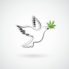 friedenstaube mit hanfblatt