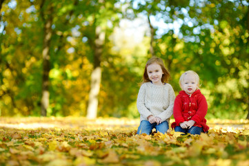 Fototapeta premium Two sisters having fun in beautiful autumn park