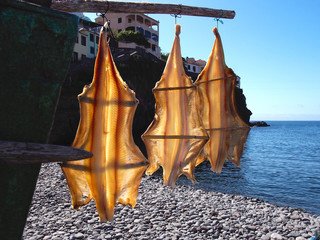 camara de lobos