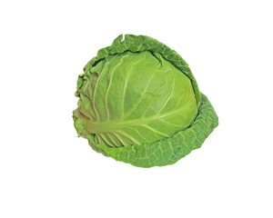 Fototapeta premium Cabbage