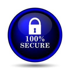 100 percent secure icon