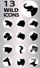 wild icons collection