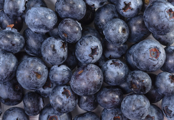 Blueberries fruit