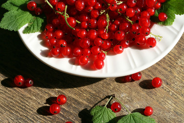 Fresh red currant in bowl on wooden background.