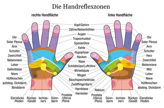 Hand reflexology chart description white german