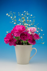 カーネーション