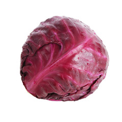 red cabbage isolated on a white background