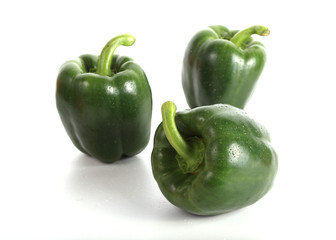pepper sweet bell with water drops, isolated on white background