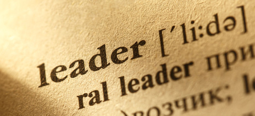 Word Leader translation