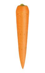 carrot