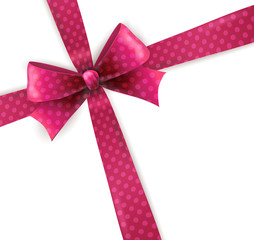 Vector isolated purple polka dots bow