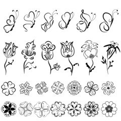 Butterflies and flowers for design