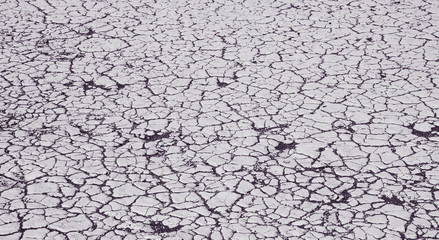 Parched desert in Namibia