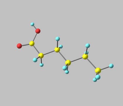 Hexanoic (caproic) acid molecule isolated on gray